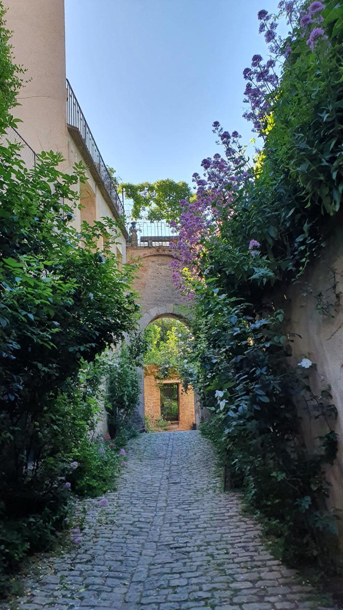 Etape Du Pont Pinard Villa Semur-en-Auxois Kültér fotó