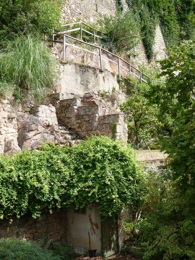 Etape Du Pont Pinard Villa Semur-en-Auxois Kültér fotó